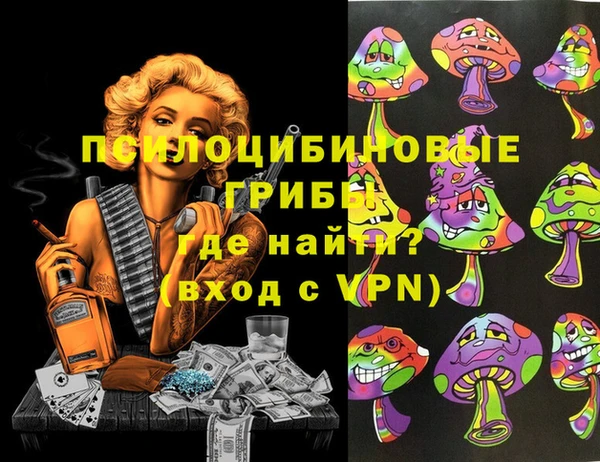 прущие грибы Абдулино