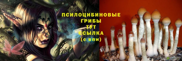 2c-b Алзамай
