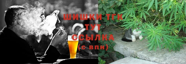 прущие грибы Абдулино